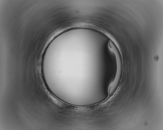 X0000099581437200806061616