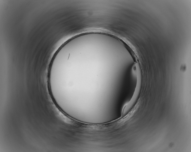 X0000099581438200806061616