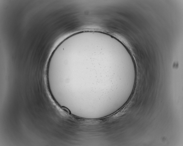 X0000099581440200806061616