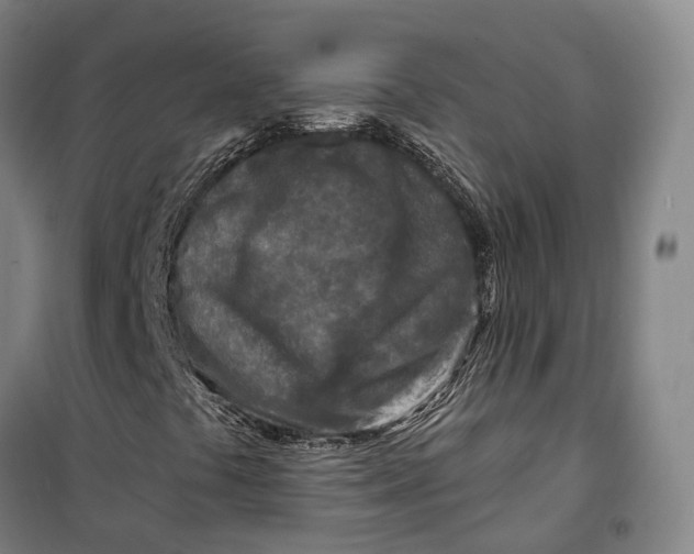 X0000099581441200806061616