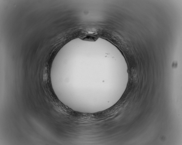 X0000099581442200806061616