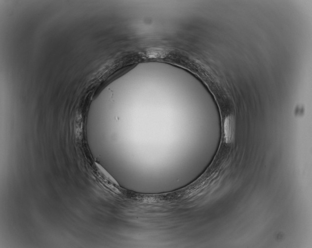 X0000099581443200806061616