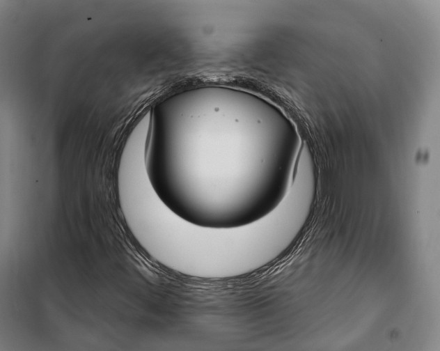 X0000099581444200806061616