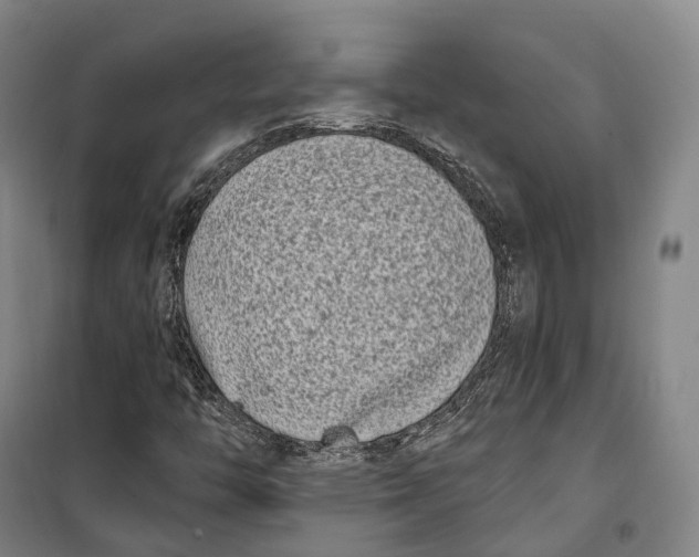 X0000099581446200806061616