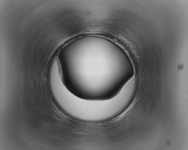 X0000099581449200806061616