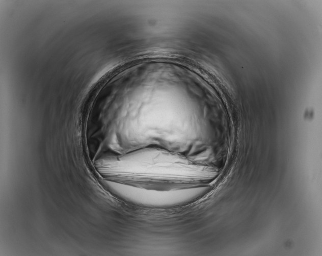 X0000099581450200806061616