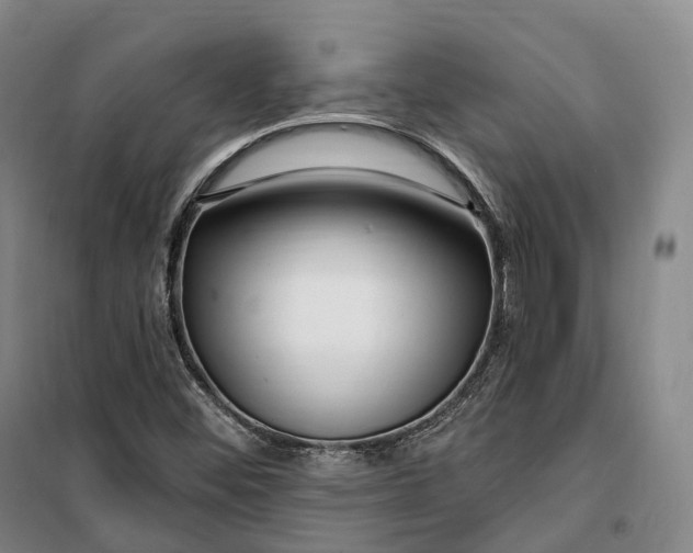 X0000099581452200806061616