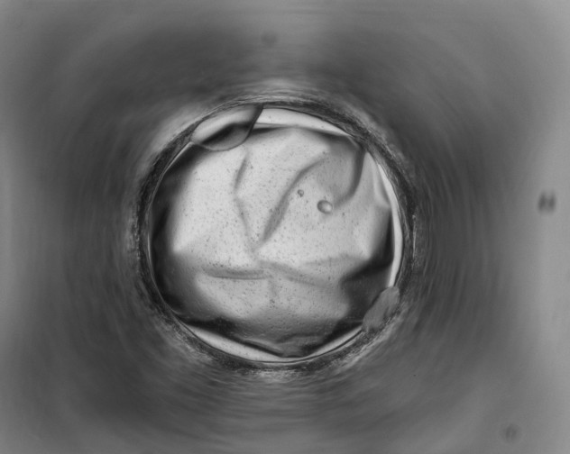 X0000099581453200806061616