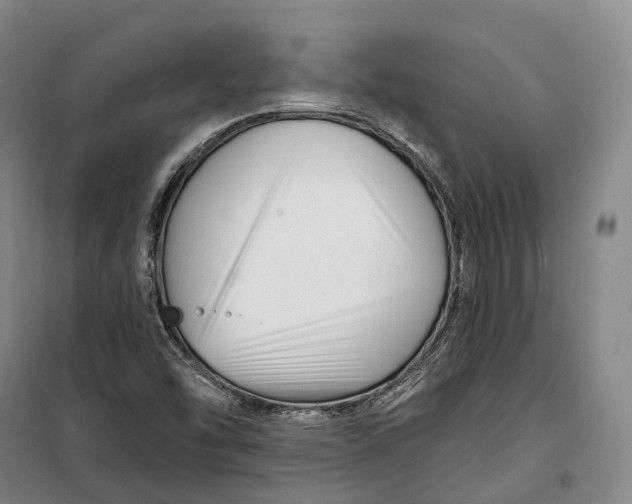 X0000099581454200806061615