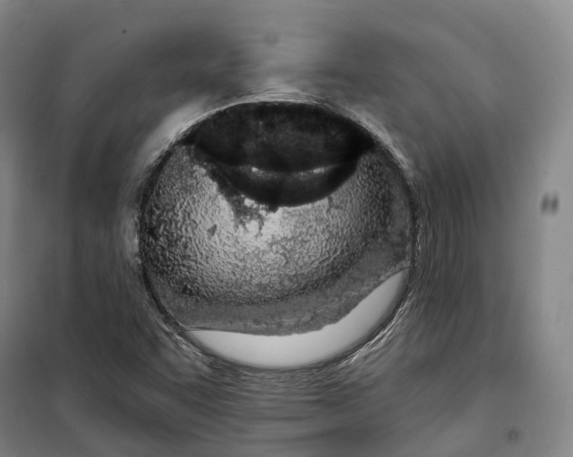 X0000099581455200806061615