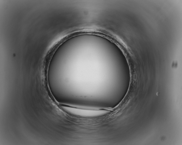 X0000099581456200806061615