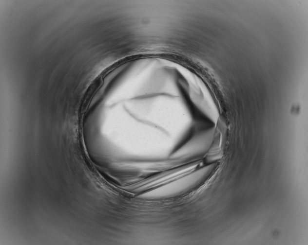 X0000099581457200806061615