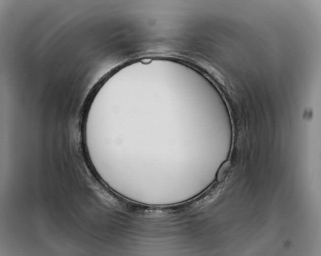 X0000099581458200806061615