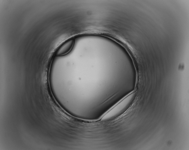 X0000099581459200806061615