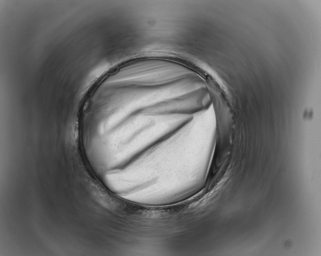 X0000099581461200806061615