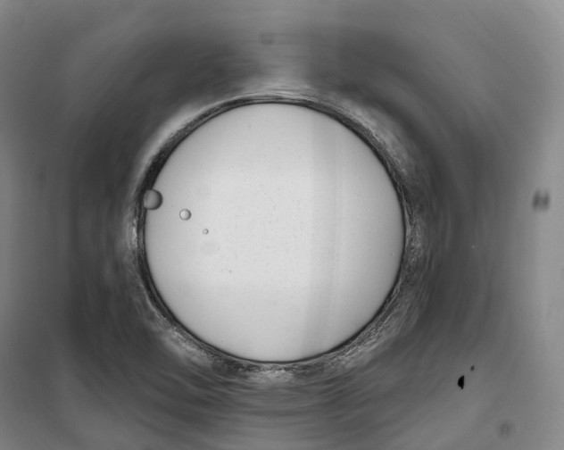 X0000099581462200806061615