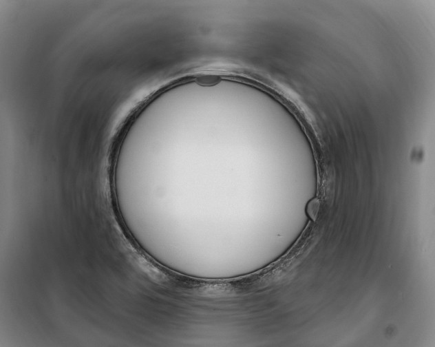 X0000099581464200806061615