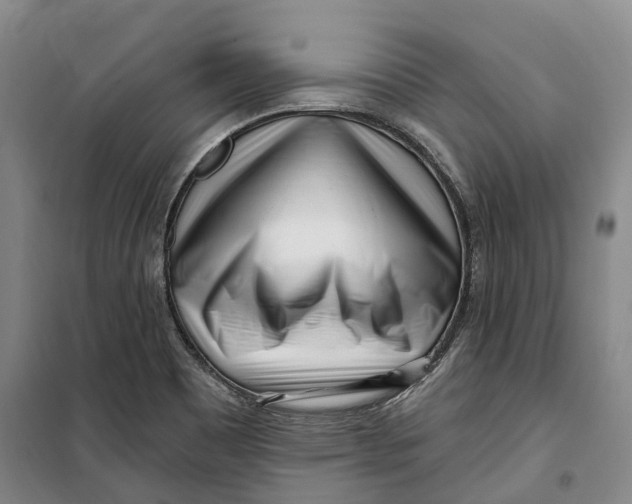 X0000099581465200806061615