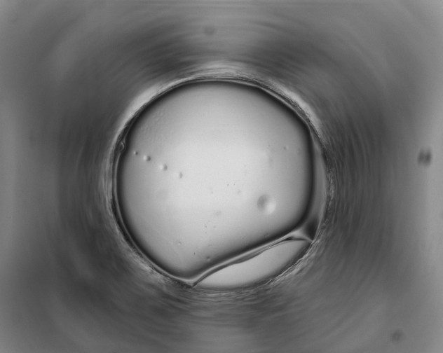 X0000099581467200806061615