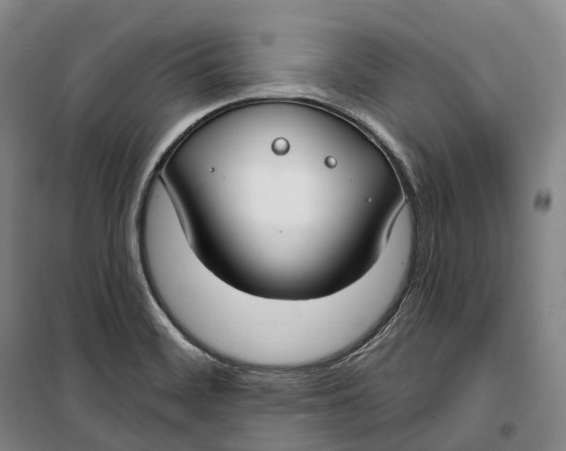 X0000099581468200806061615