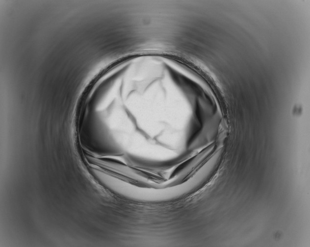 X0000099581469200806061615