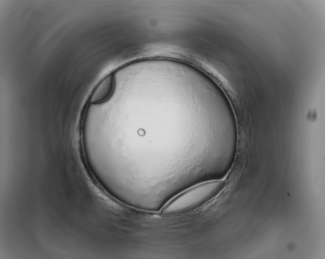 X0000099581471200806061615