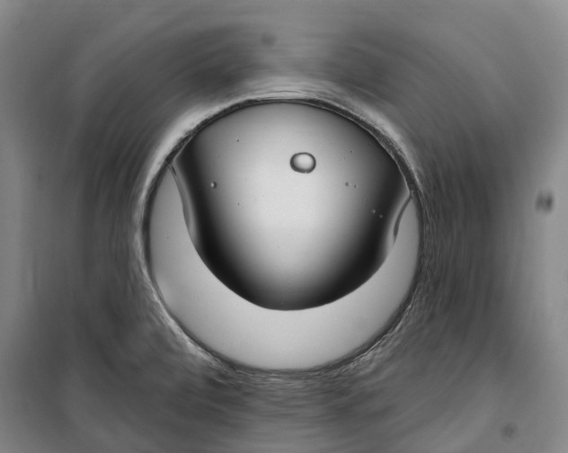 X0000099581472200806061615