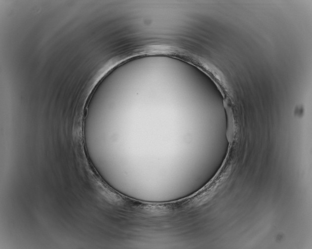 X0000099581473200806061615