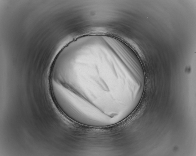 X0000099581475200806061615