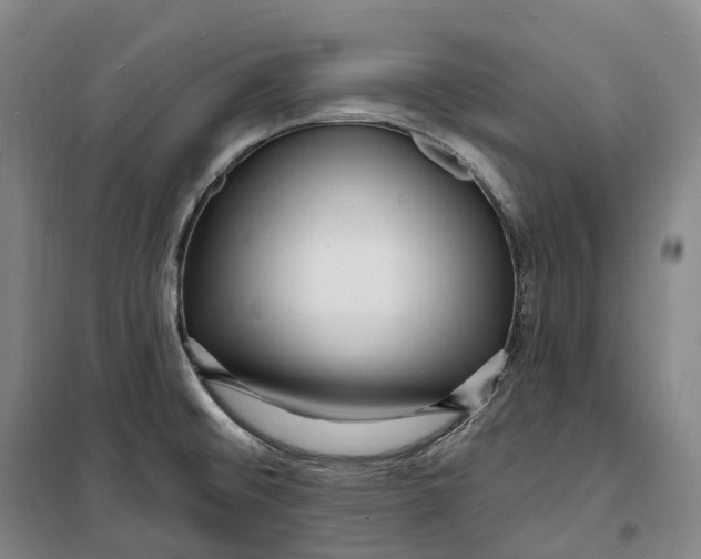 X0000099581476200806061615