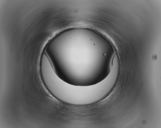 X0000099581477200806061615