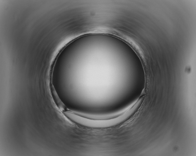 X0000099581480200806061615