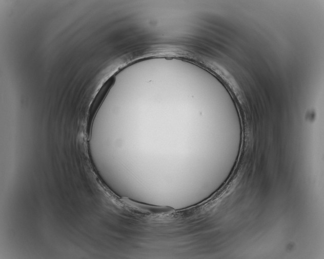 X0000099581481200806061615