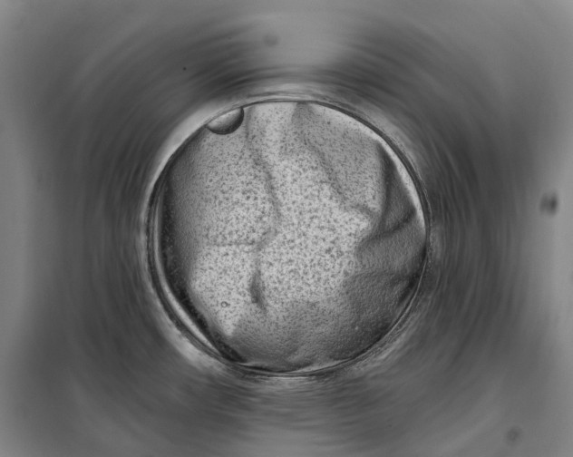 X0000099581482200806061615