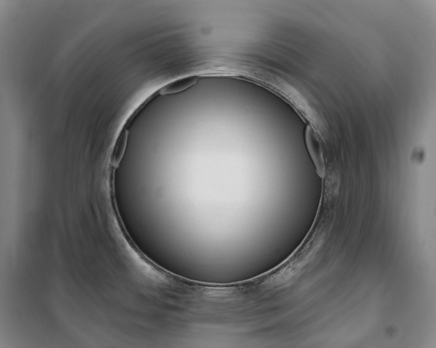 X0000099581484200806061615