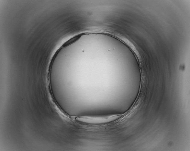 X0000099581485200806061615