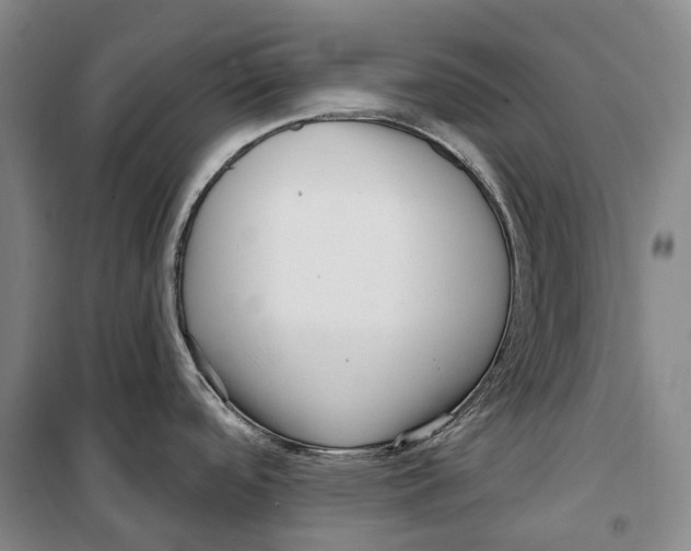 X0000099581488200806061615