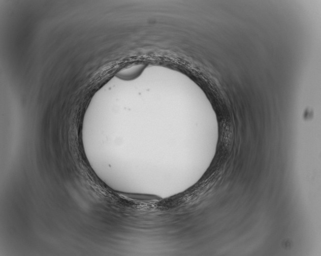 X0000099581489200806061614