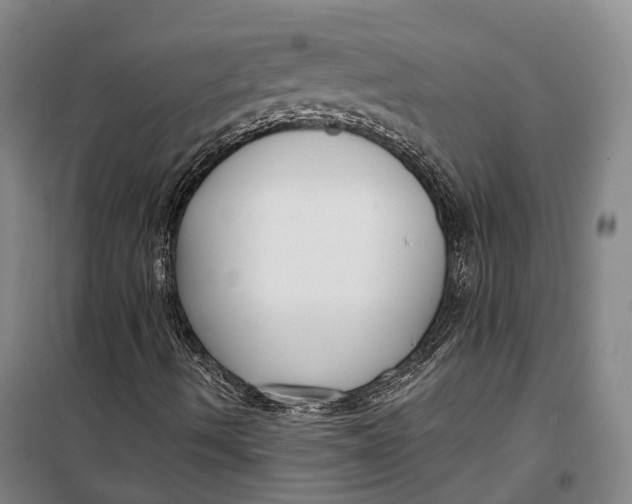 X0000099581490200806061614