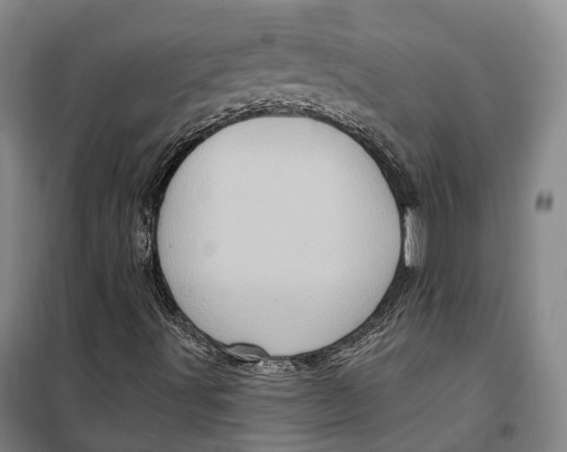 X0000099581491200806061614