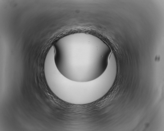 X0000099581492200806061614