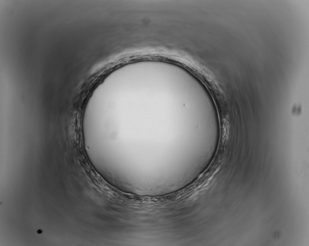 X0000099581494200806061614