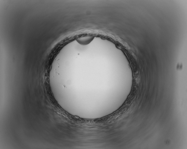 X0000099581495200806061614