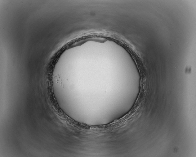 X0000099581496200806061614