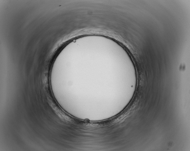 X0000099581499200806061614