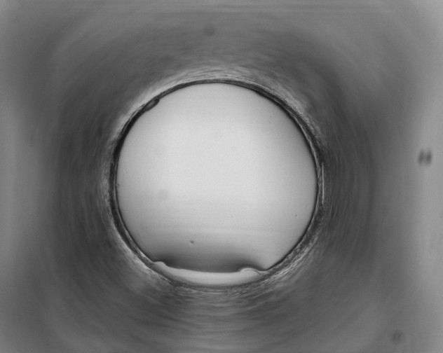 X0000099581500200806061614