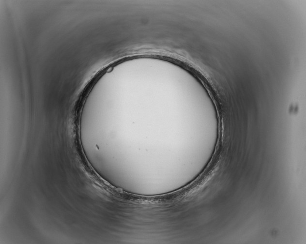 X0000099581501200806061614