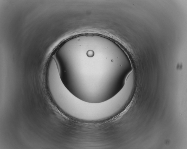 X0000099581502200806061614