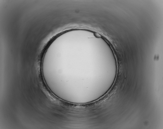 X0000099581503200806061614