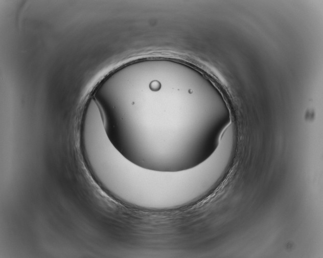 X0000099581504200806061614